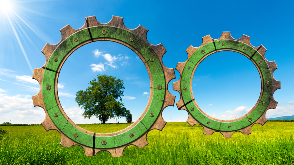 Rapporto sulla Green Economy in Italia: a che punto siamo
